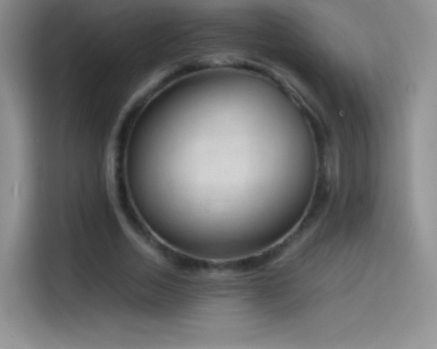 X0000114090730200910131256