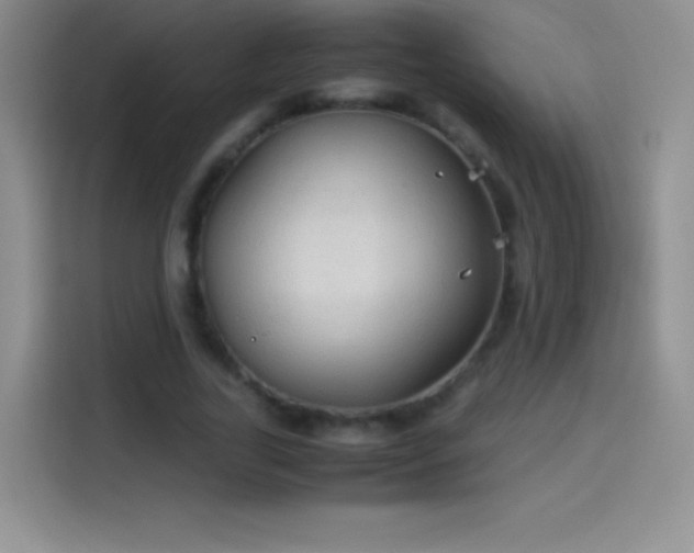 X0000114090731200910131256