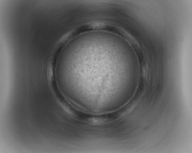 X0000114090733200910131256