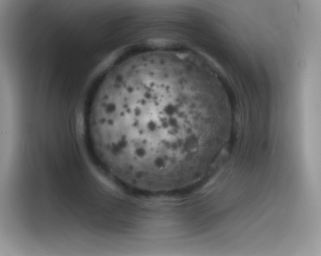 X0000114090734200910131256