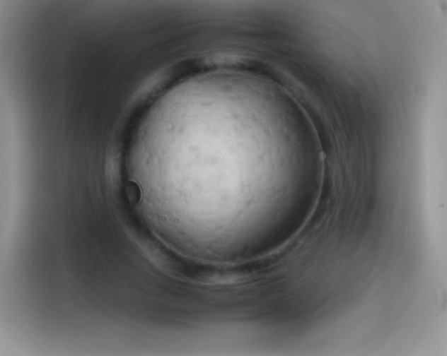 X0000114090735200910131256
