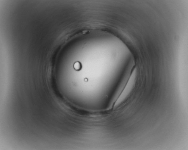 X0000114090744200910131256