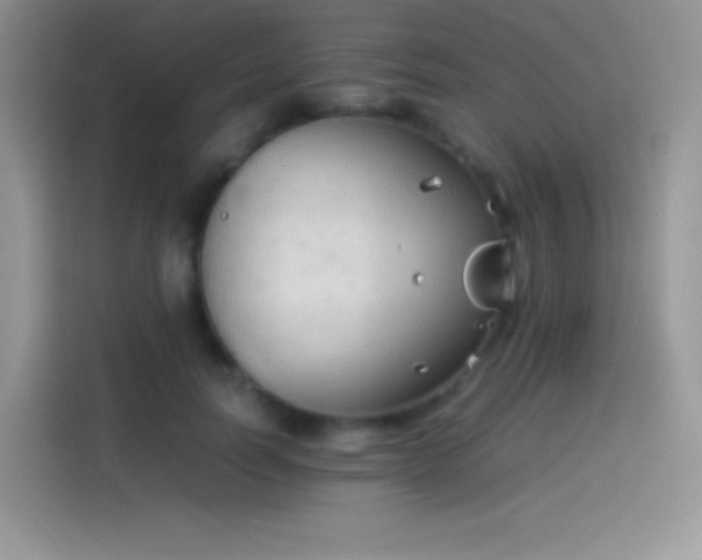 X0000114090746200910131256