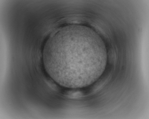 X0000114090747200910131256
