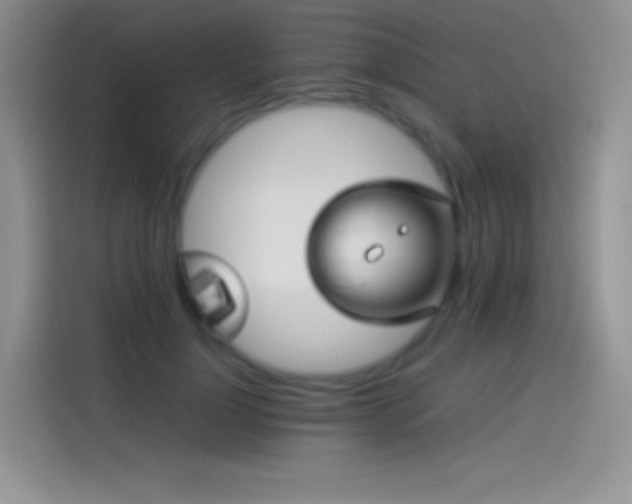 X0000114090748200910131256