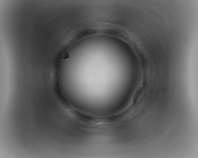 X0000114090750200910131256