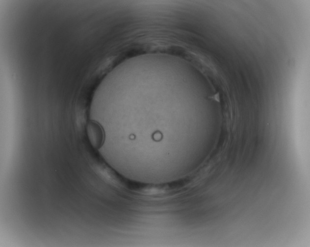 X0000114090756200910131256