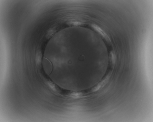 X0000114090760200910131256