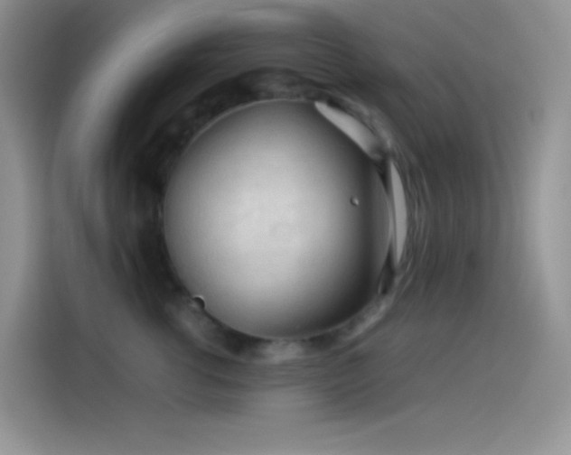 X0000114090762200910131256