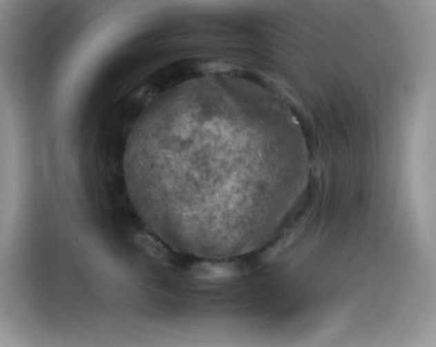 X0000114090763200910131256