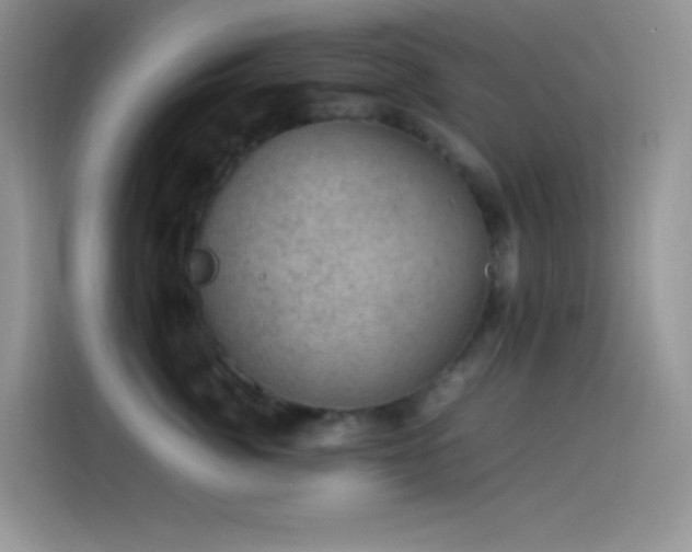 X0000114090764200910131256