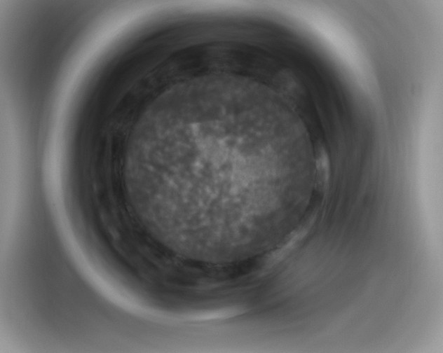 X0000114090765200910131256