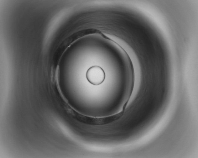 X0000114090766200910131256