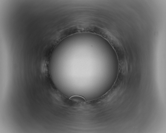 X0000114090770200910131256