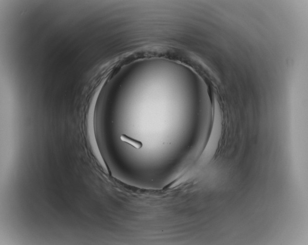 X0000114090773200910131256