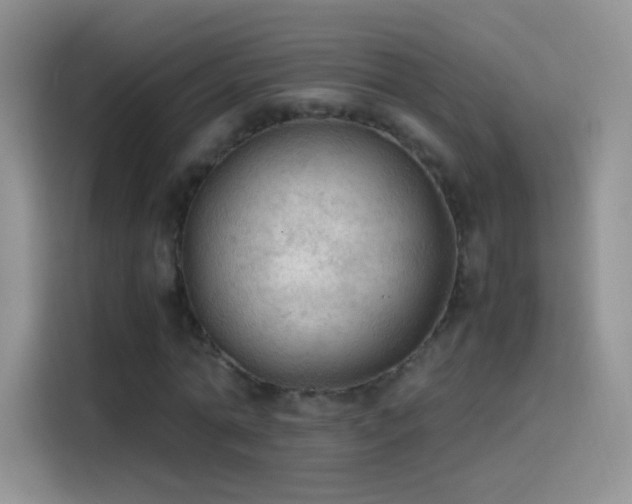 X0000114090774200910131256