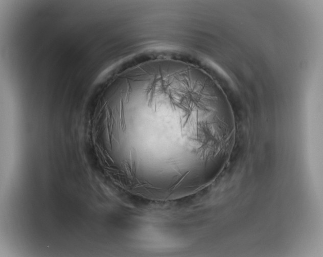 X0000114090775200910131256