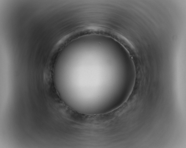 X0000114090776200910131256