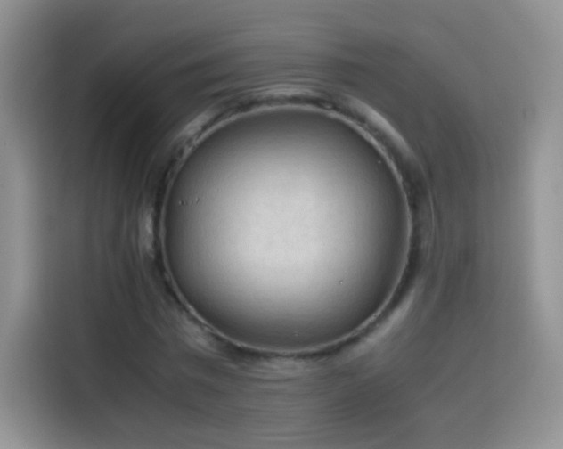 X0000114090777200910131256