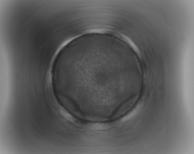 X0000114090779200910131256