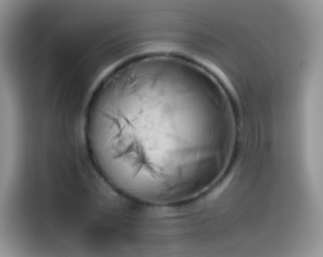 X0000114090783200910131256