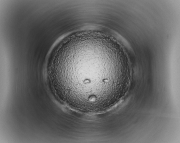 X0000114090784200910131256