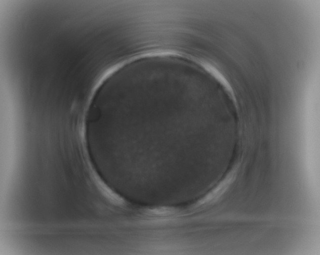 X0000114090797200910131255