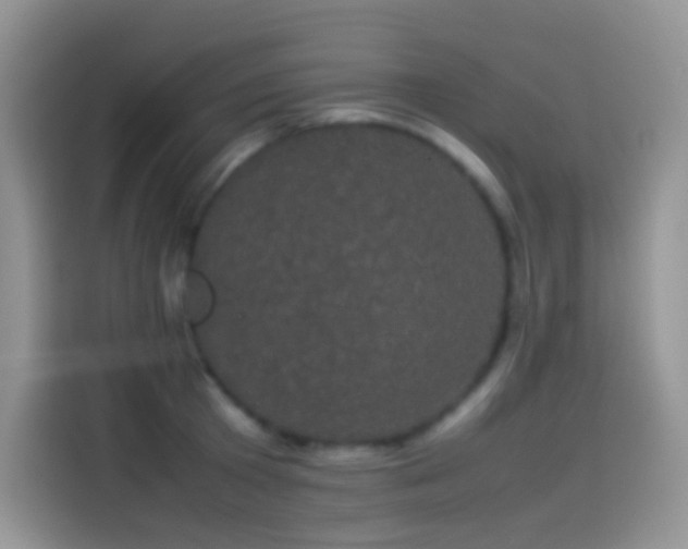 X0000114090801200910131255
