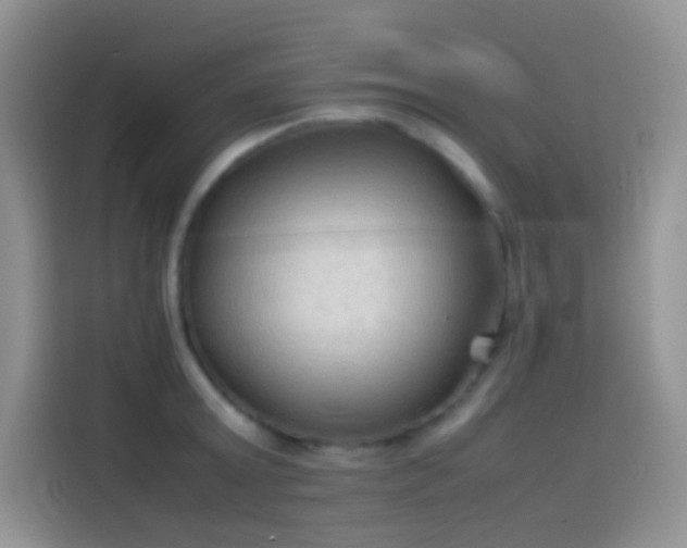 X0000114090803200910131255