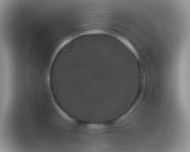 X0000114090805200910131255