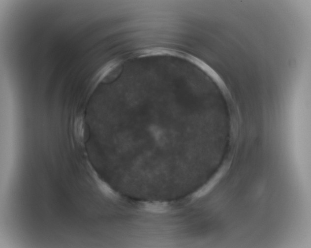 X0000114090809200910131255