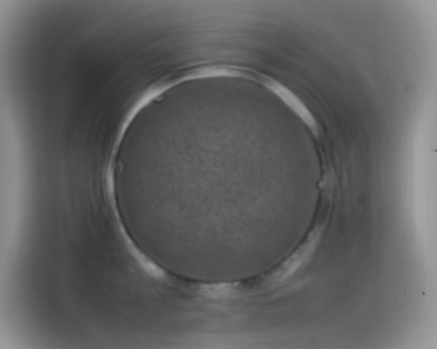 X0000114090813200910131255