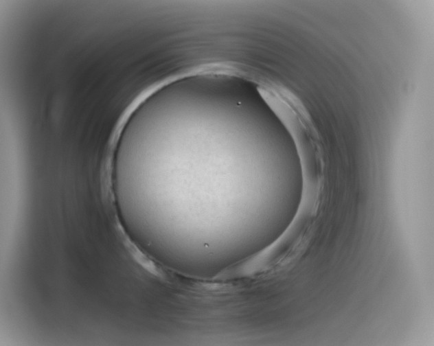 X0000114090816200910131255