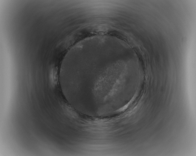 X0000114090818200910131255