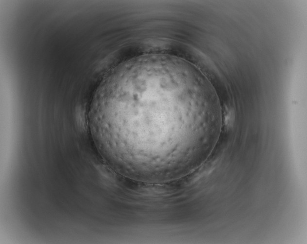 X0000114090819200910131255
