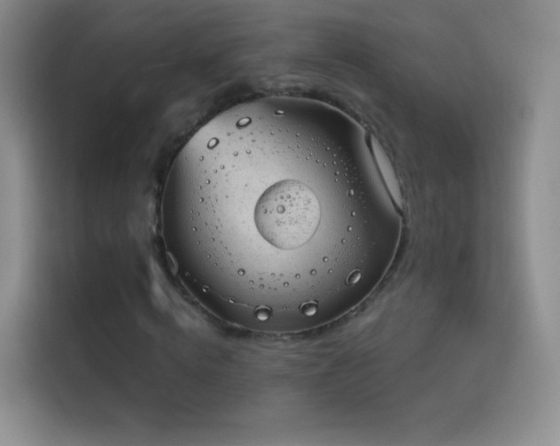 X0000114090820200910131255