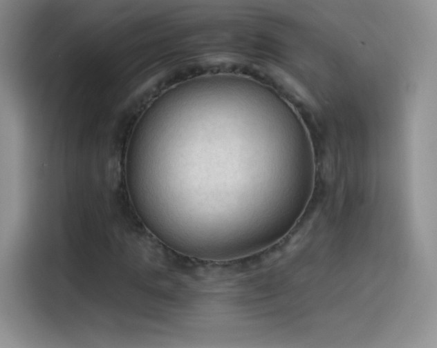 X0000114090821200910131255