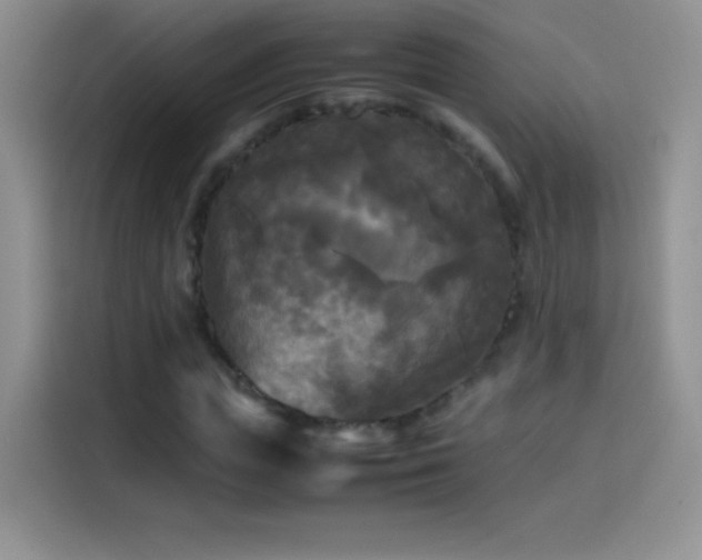 X0000114090823200910131255