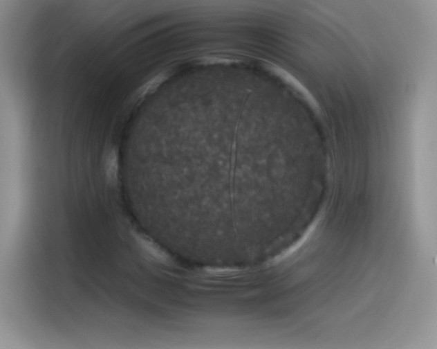 X0000114090825200910131255