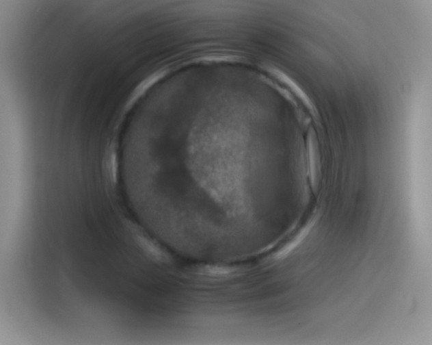 X0000114090829200910131255