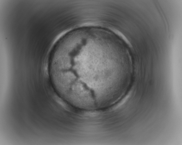 X0000114090830200910131255