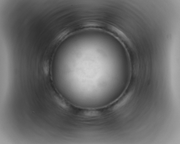X0000114090833200910131255