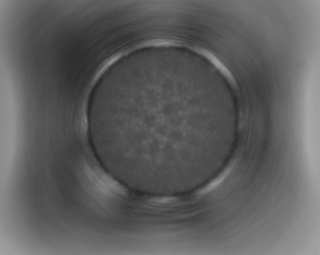 X0000114090837200910131255