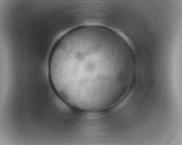 X0000114090840200910131255