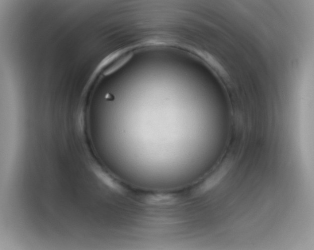 X0000114090846200910131255