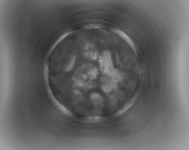 X0000114090859200910131255