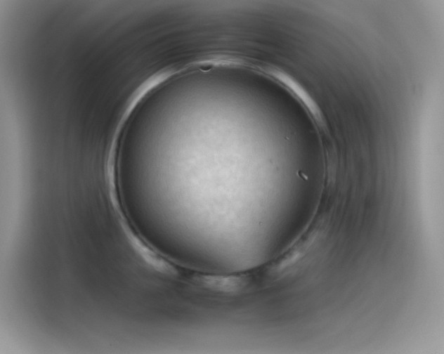 X0000114090861200910131255