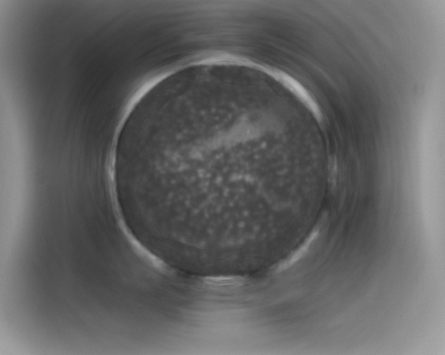 X0000114090863200910131255