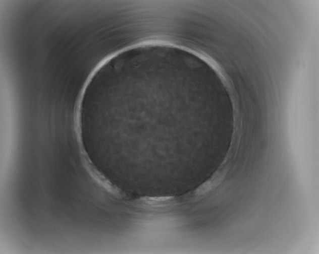 X0000114090864200910131255