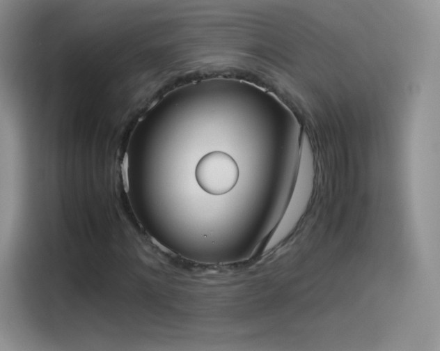 X0000114090868200910131254